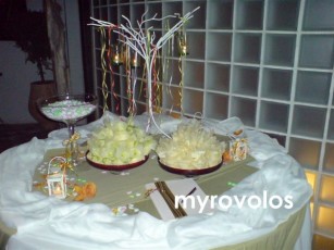 Διακόσμηση Δεξίωσης Γάμου