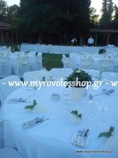 Διακόσμηση Δεξίωσης Γάμου