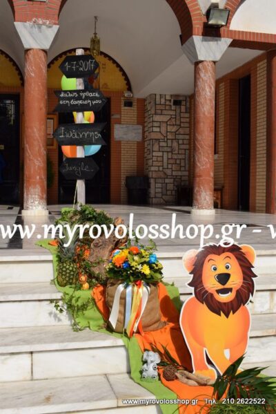 Θέμα Ζώα της Ζούγκλας 2