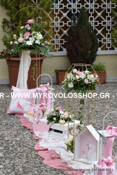 Θέμα Κύκνος