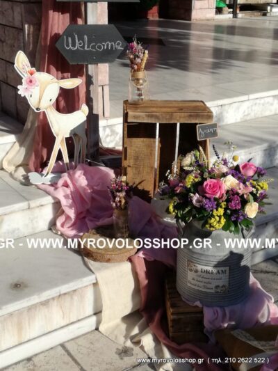 Θέμα Ζωάκια του Δάσους